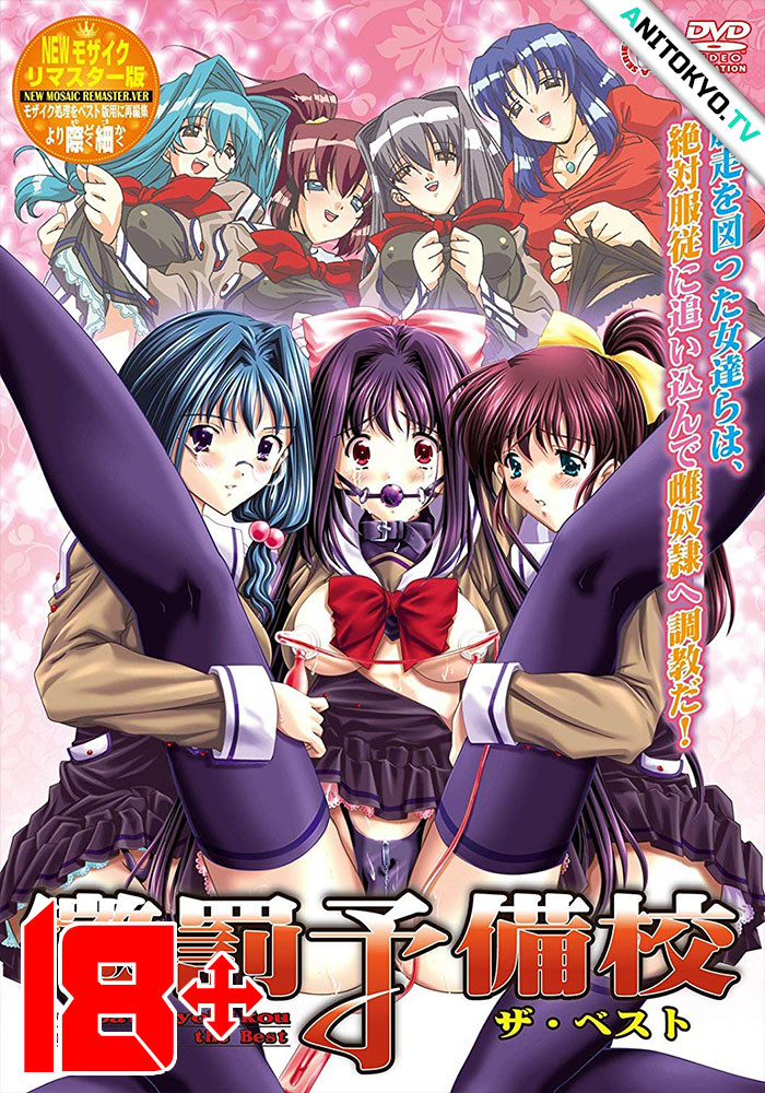 poster Школа послушания